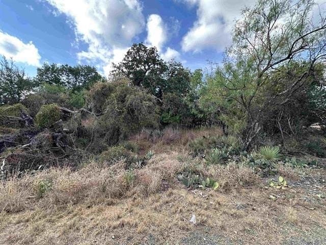 0.48 acres in Burnet County - photo 3