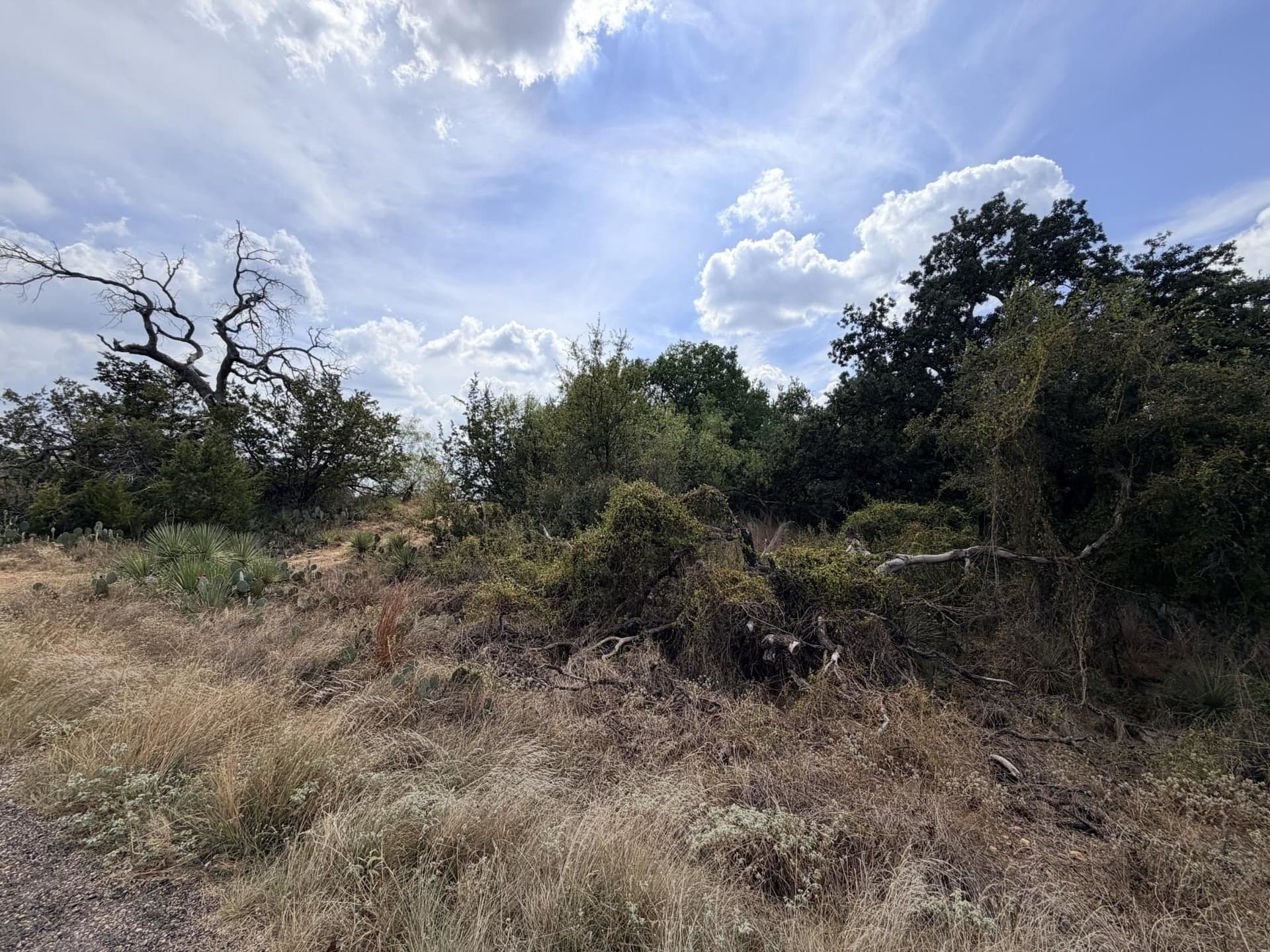 0.48 acres in Burnet County - photo 5