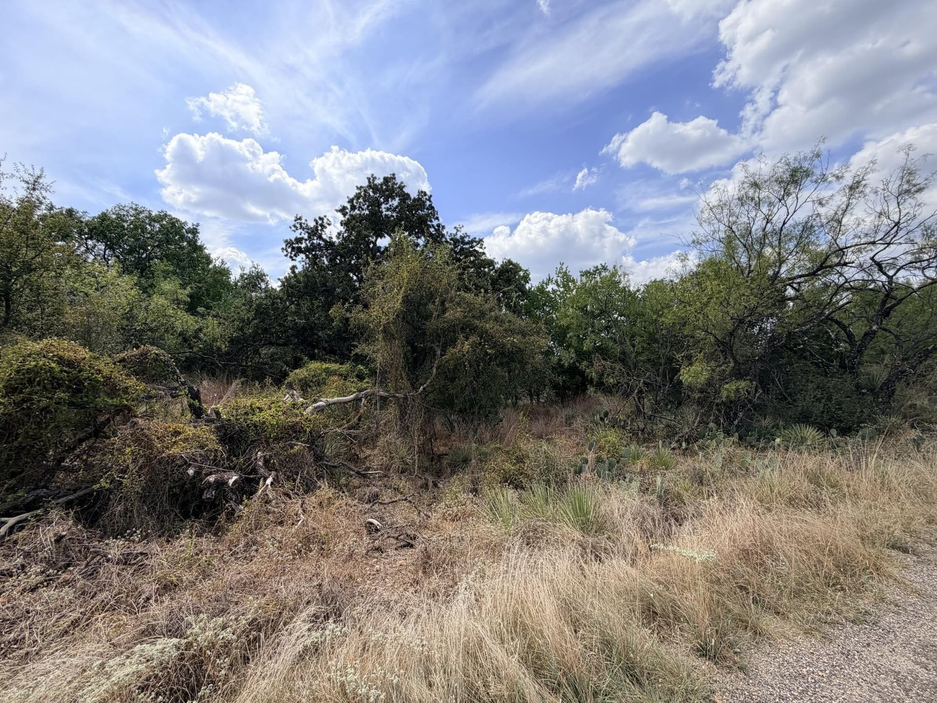 0.48 acres in Burnet County - photo 6