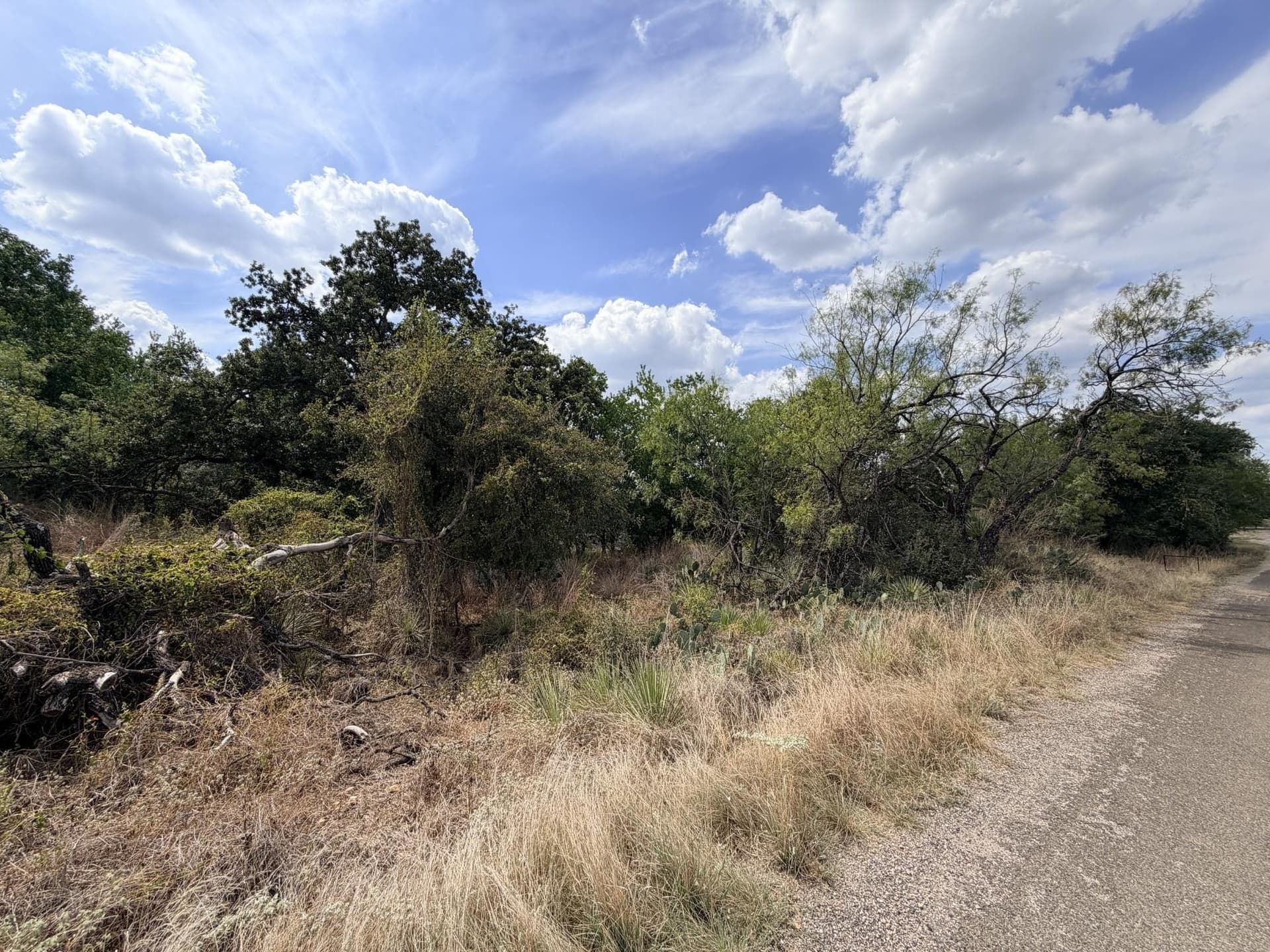 0.48 acres in Burnet County - photo 7