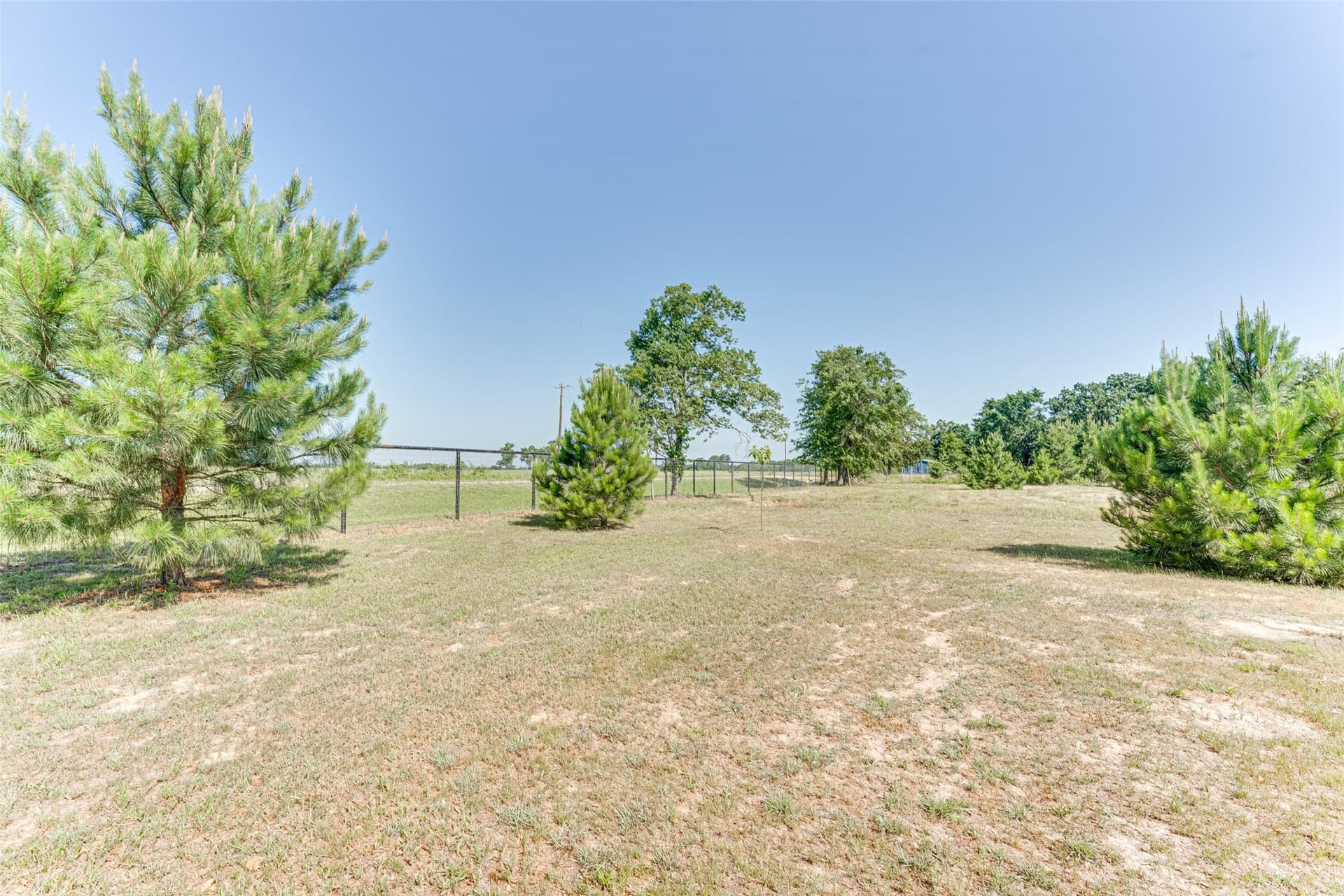 15 acres in Rains County - photo 40