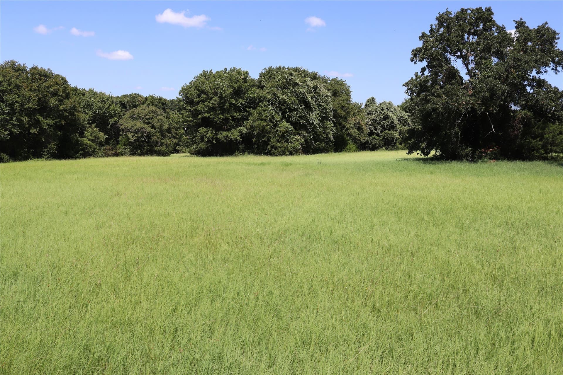 37 acres in Montague County - photo 37