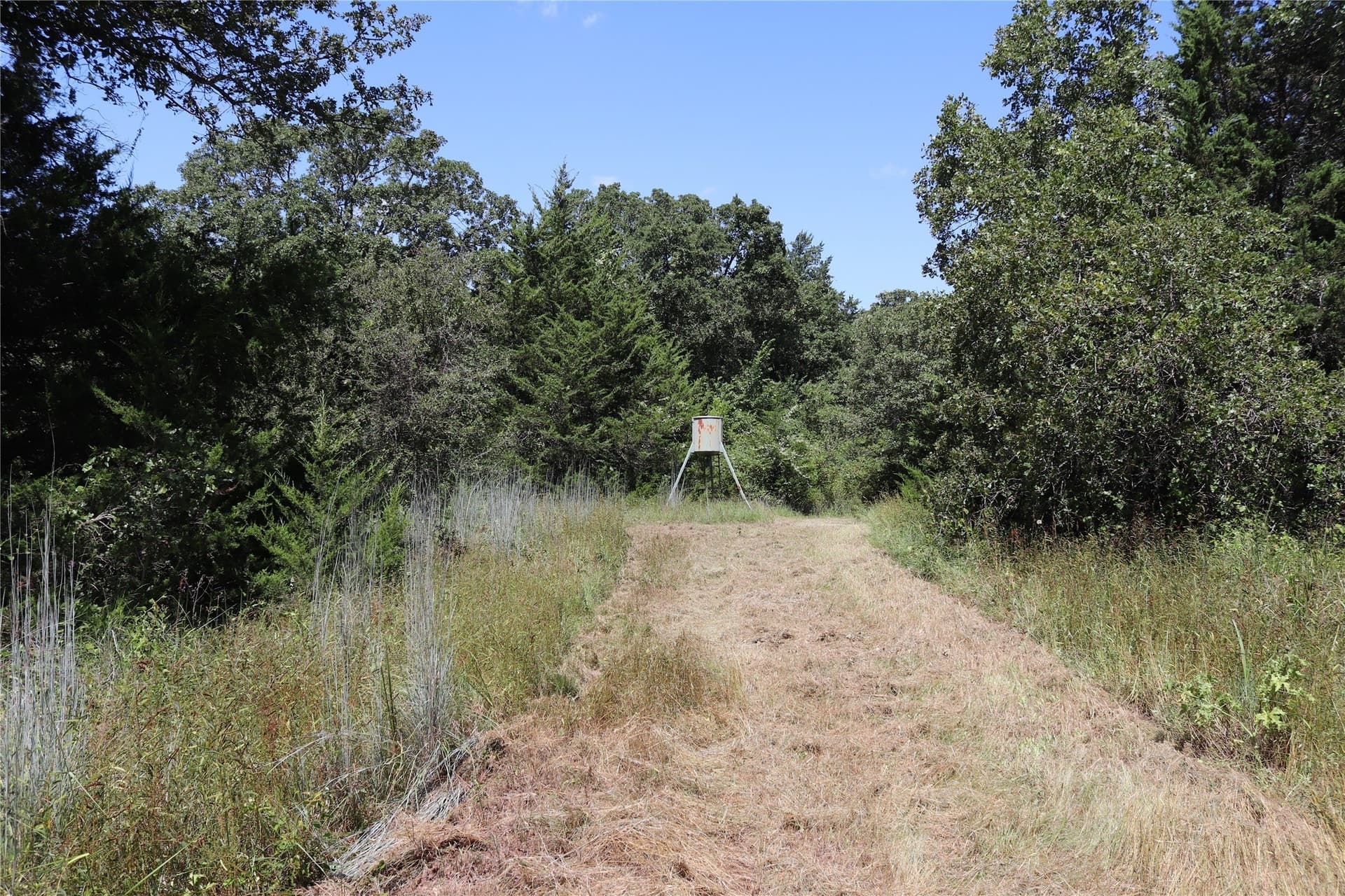 37 acres in Montague County - photo 38