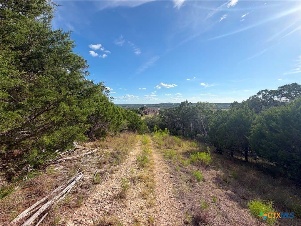 1.79 acres in Comal County gallery image 2