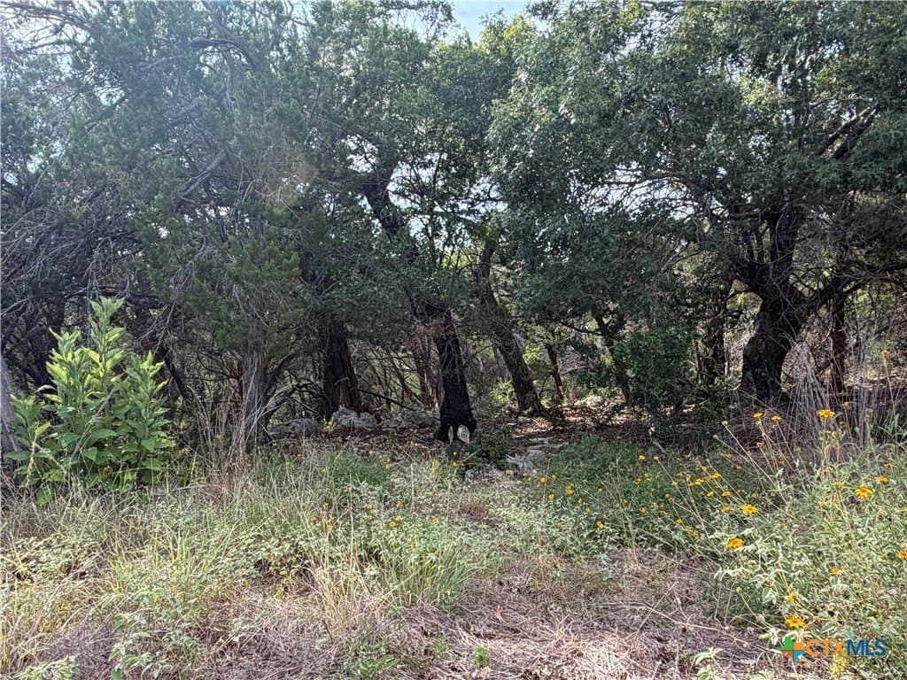 1.79 acres in Comal County gallery image 3