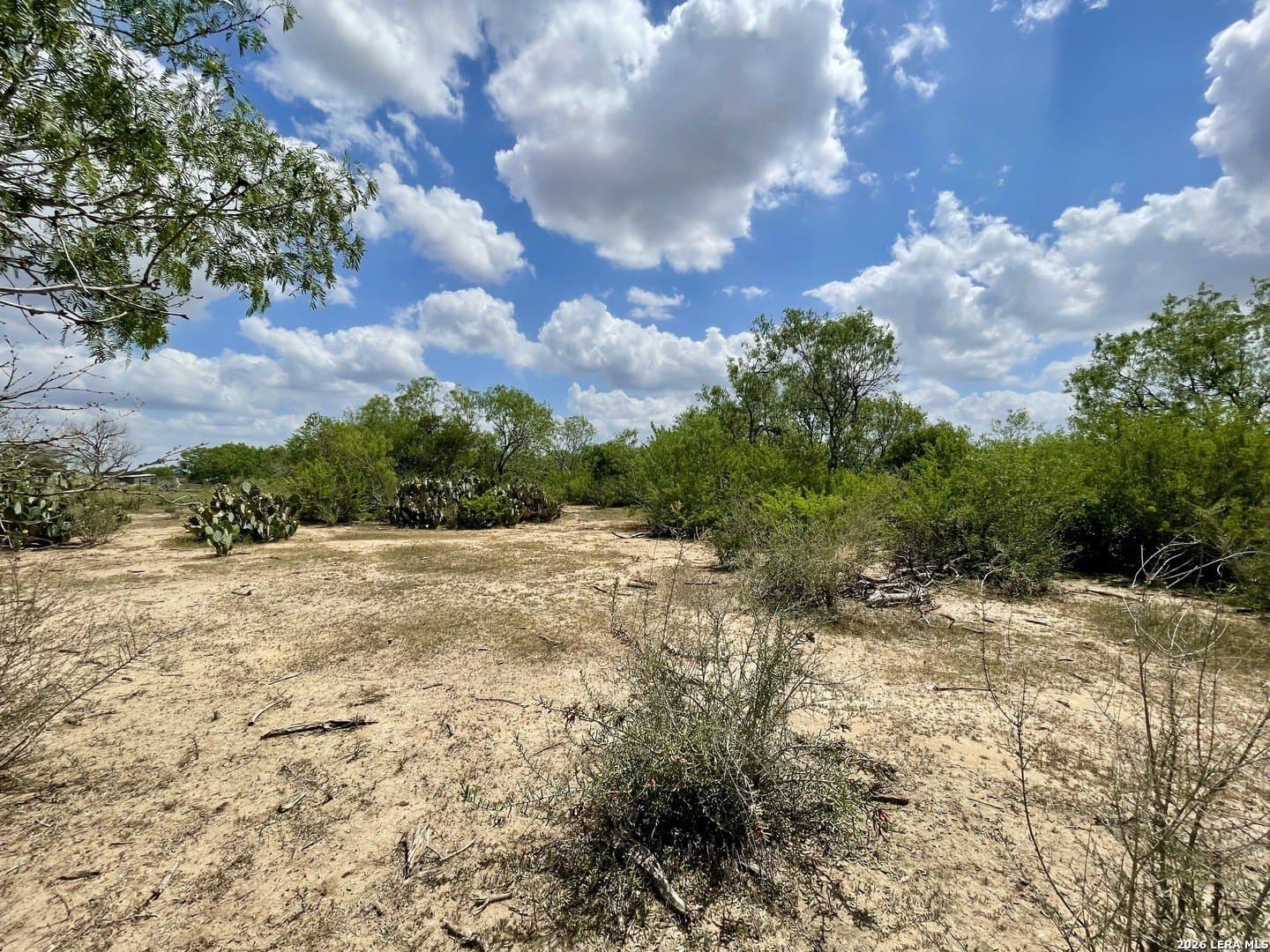 4 acres in Guadalupe County featured view