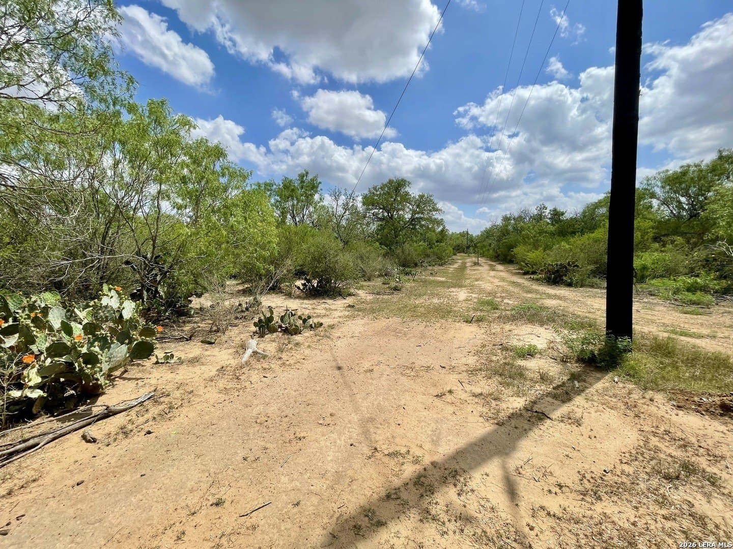 4 acres in Guadalupe County - photo 6
