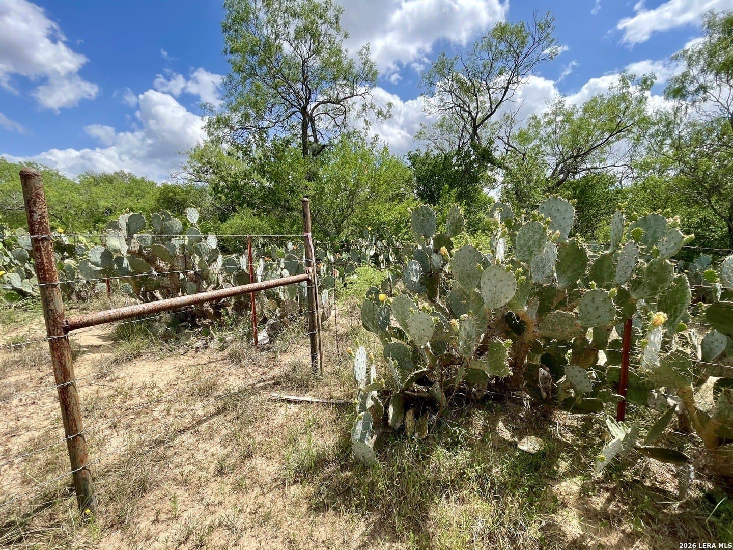 4 acres in Guadalupe County - photo 12