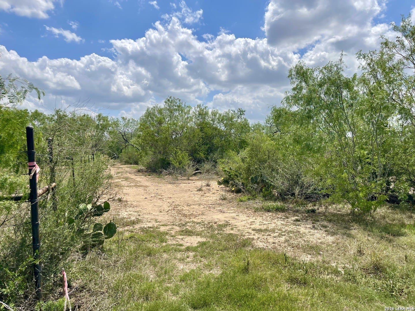 4 acres in Guadalupe County gallery image 4