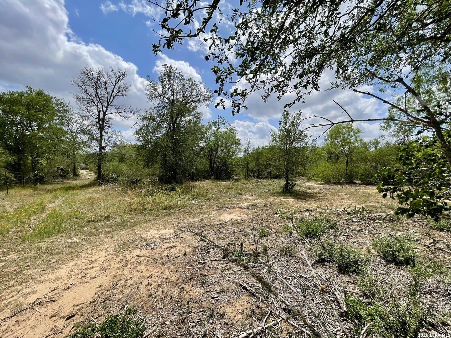 4 acres in Guadalupe County gallery image 2