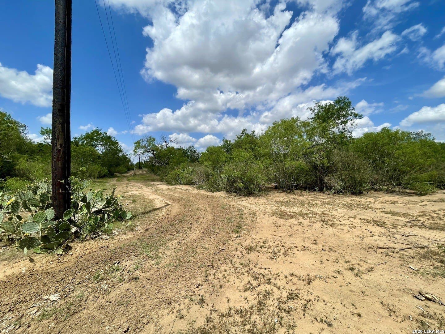 4 acres in Guadalupe County - photo 8