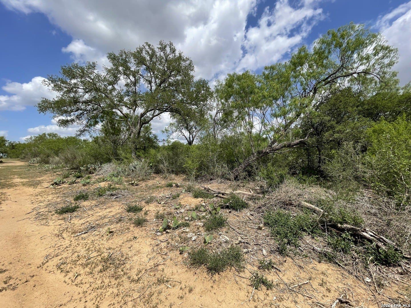 4 acres in Guadalupe County - photo 7