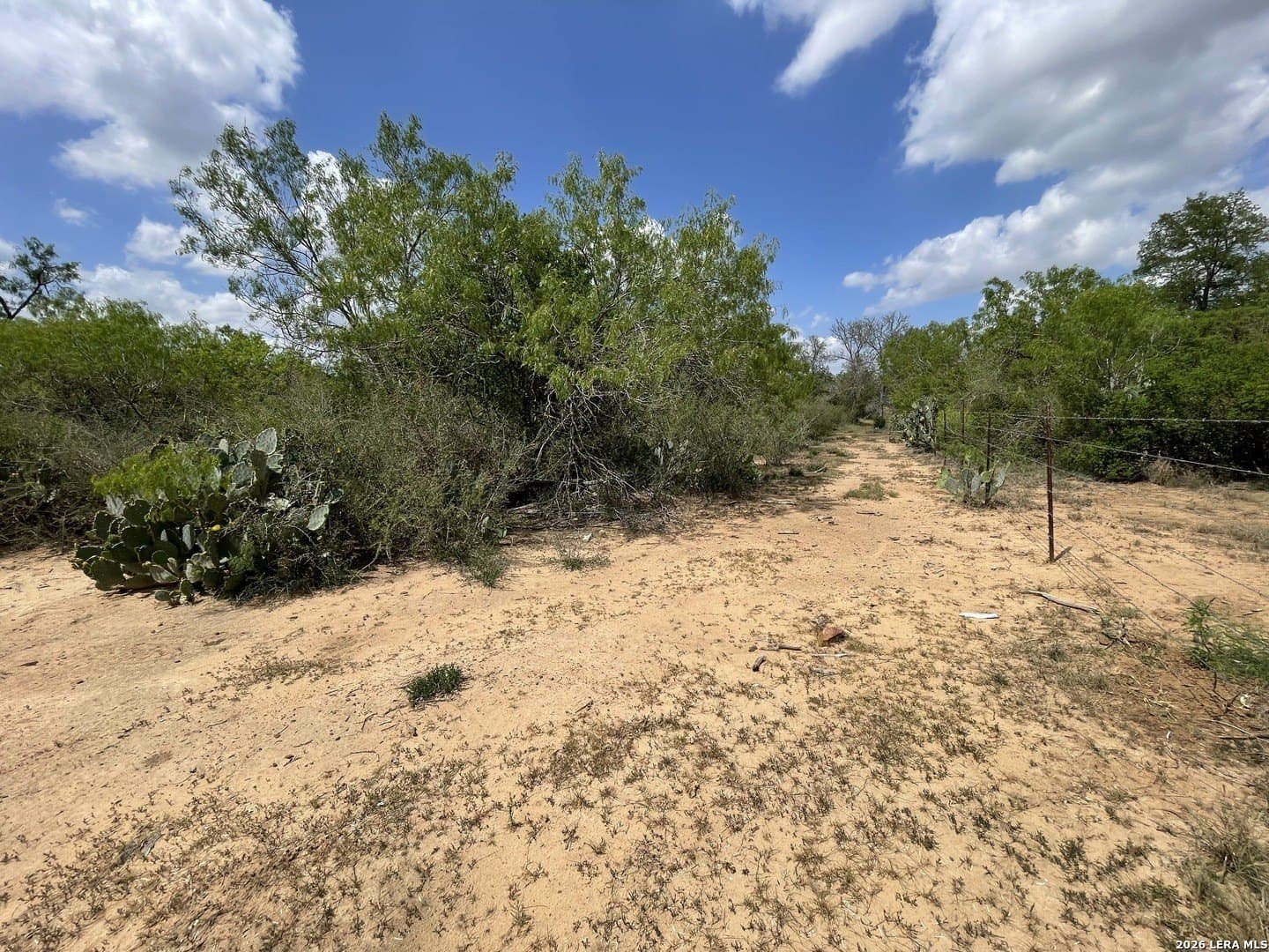4 acres in Guadalupe County - photo 11