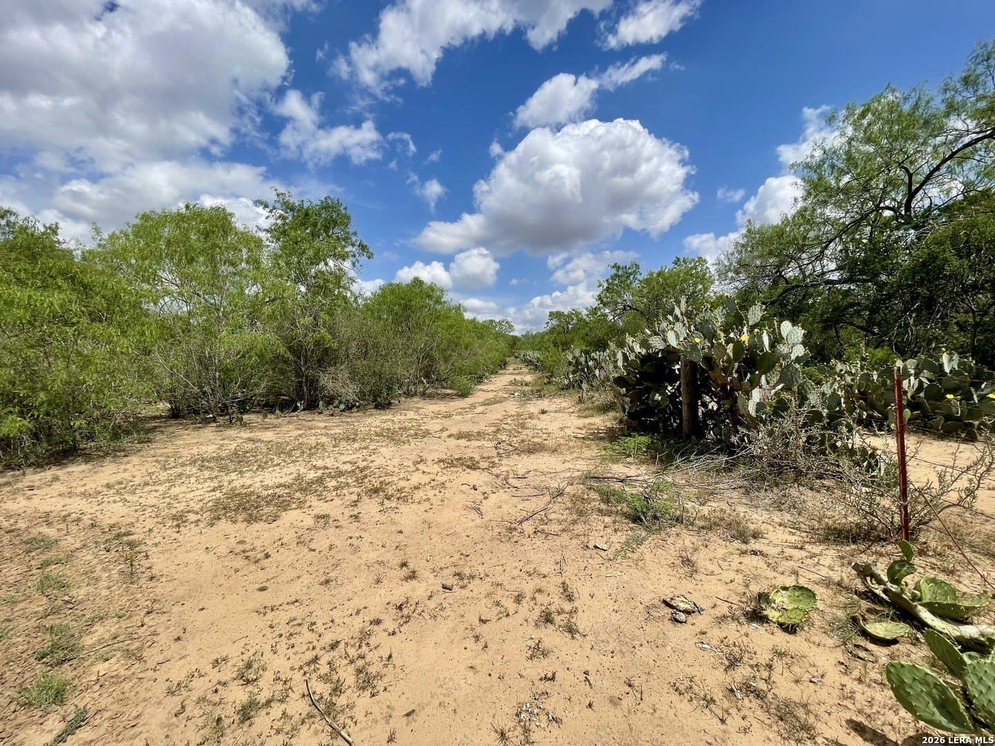 4 acres in Guadalupe County - photo 9