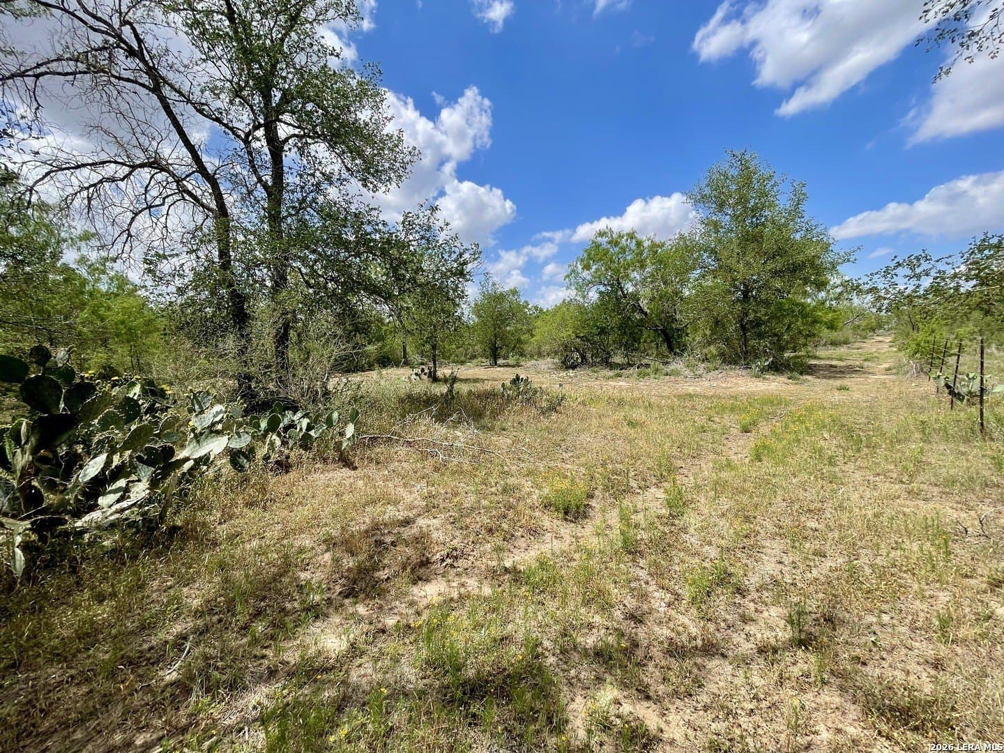 4 acres in Guadalupe County