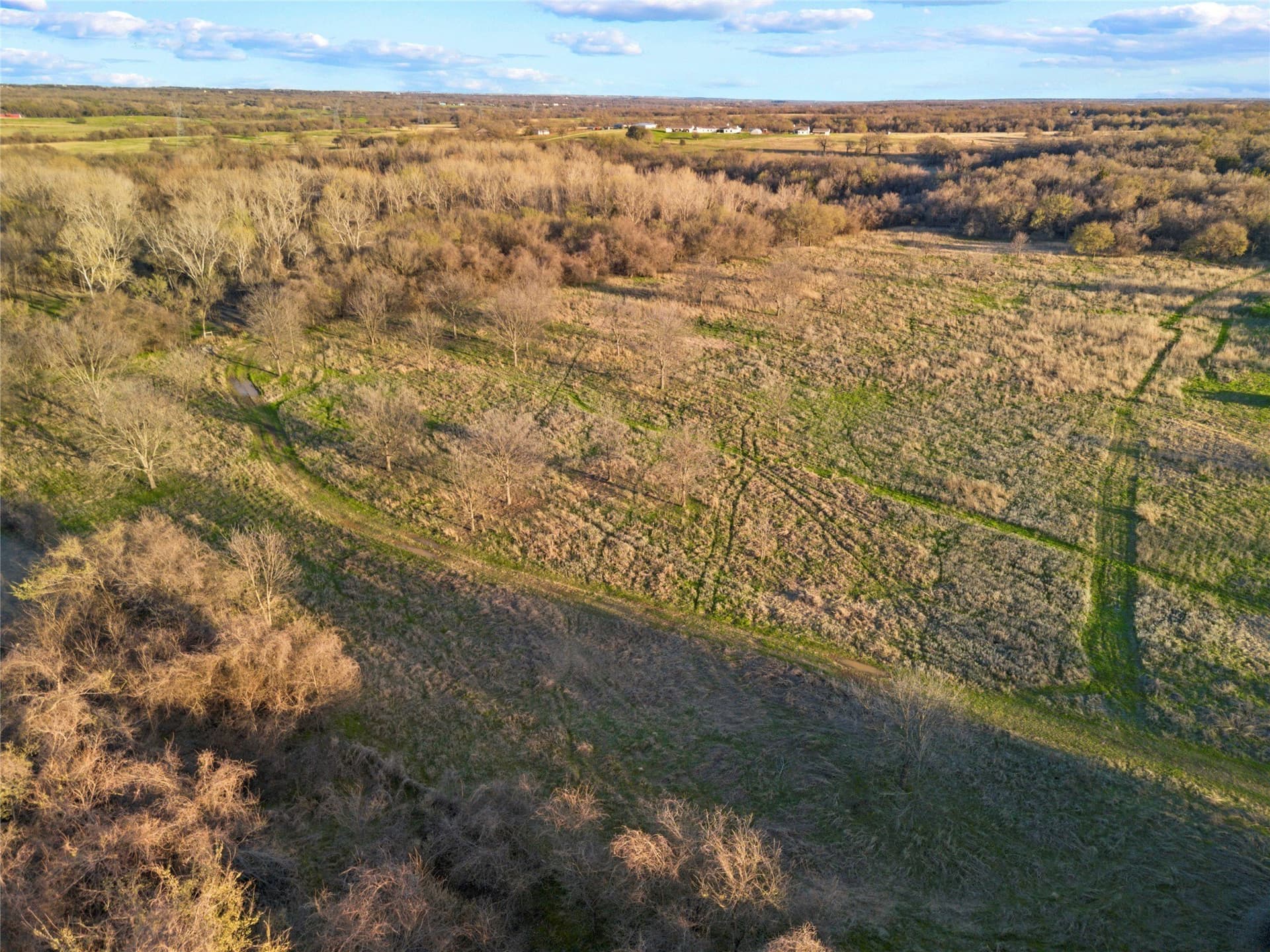 10 acres in Parker County - photo 22