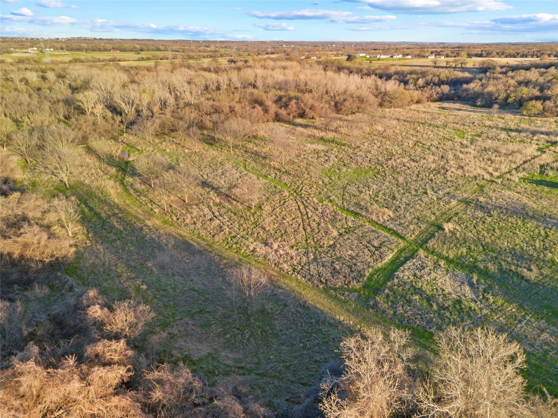 10 acres in Parker County - photo 19