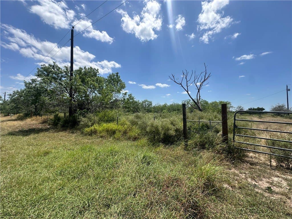 10 acres in Jim Wells County gallery image 2