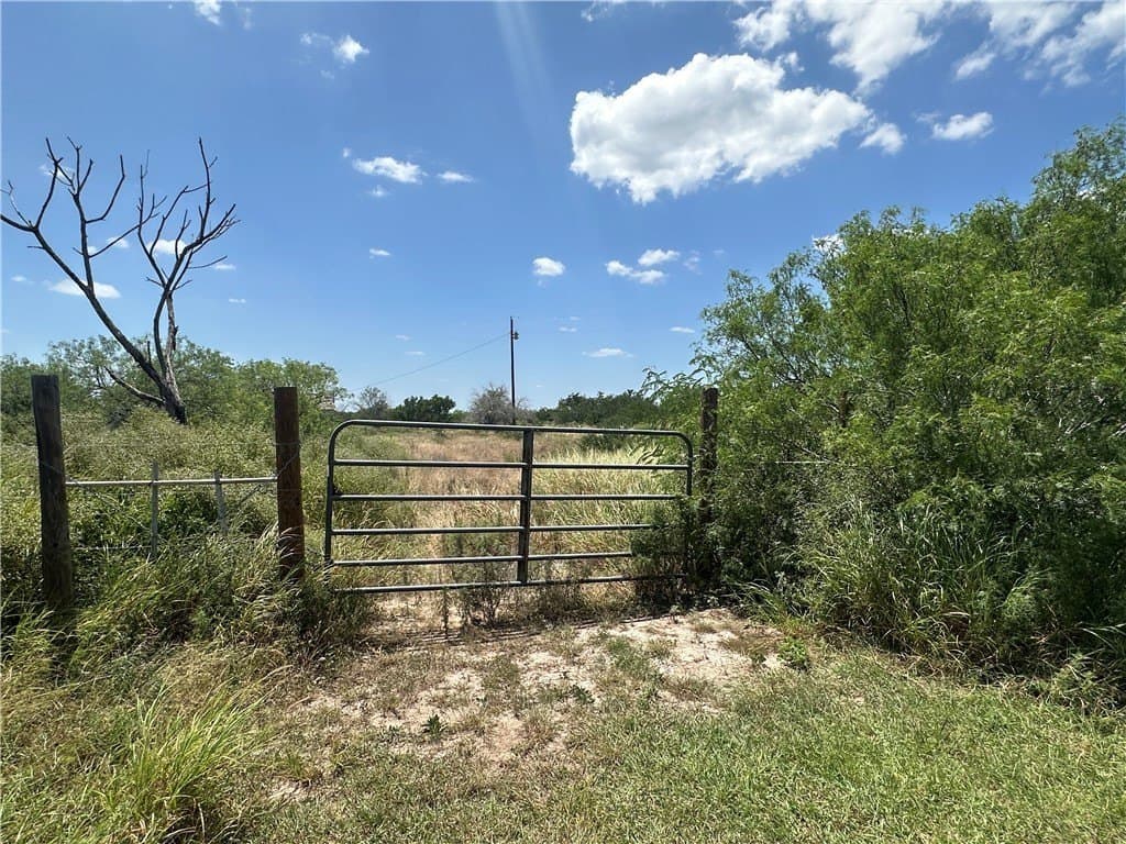 10 acres in Jim Wells County gallery image 3