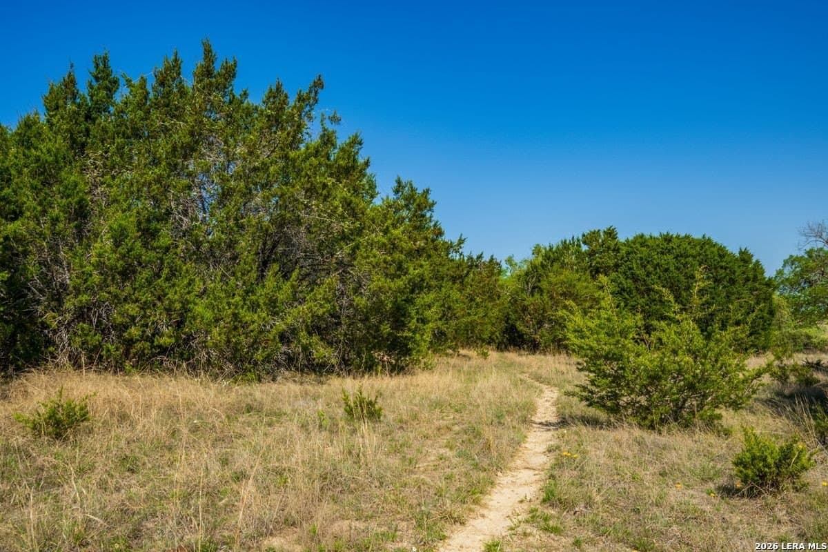 50 acres in Coryell County gallery image 3