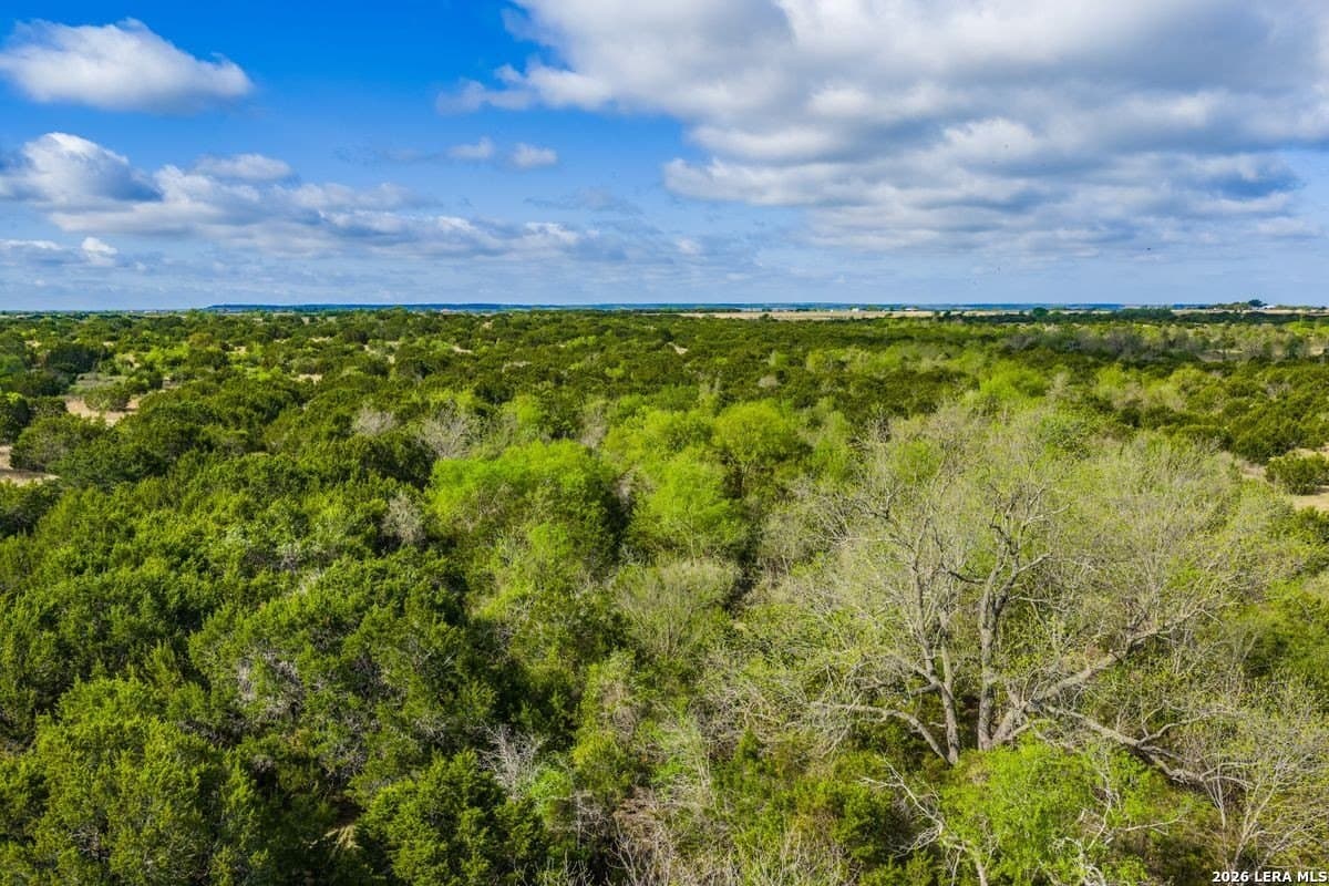 50 acres in Coryell County - photo 8