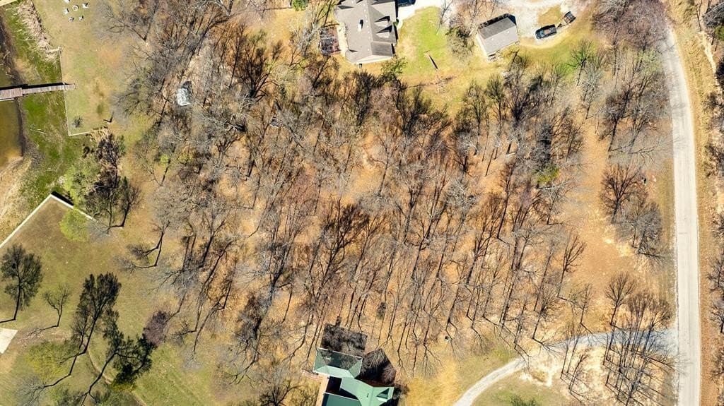 0.83 acres in Rains County gallery image 2