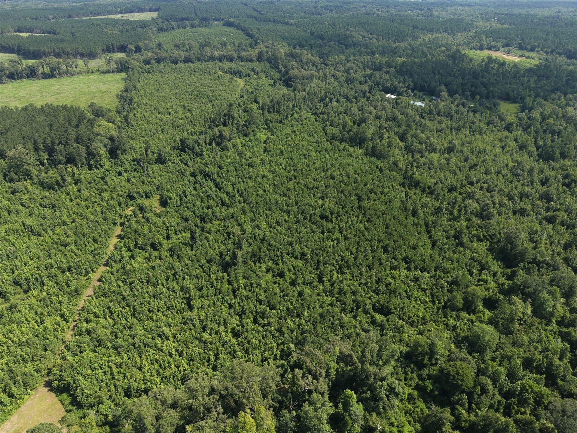 50 acres in Cass County - photo 10
