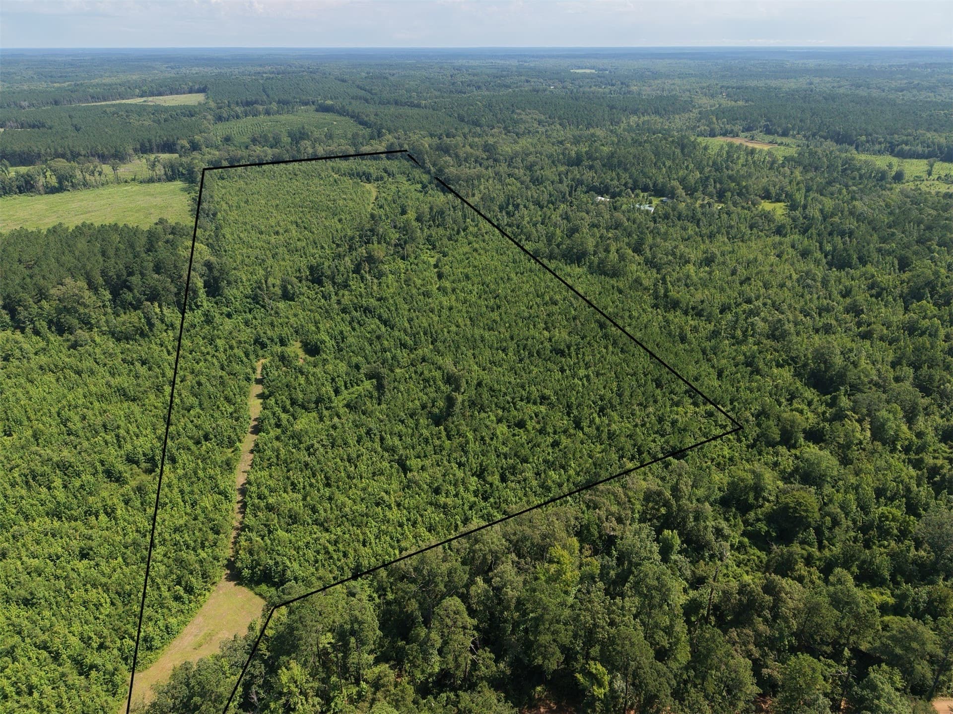 50 acres in Cass County