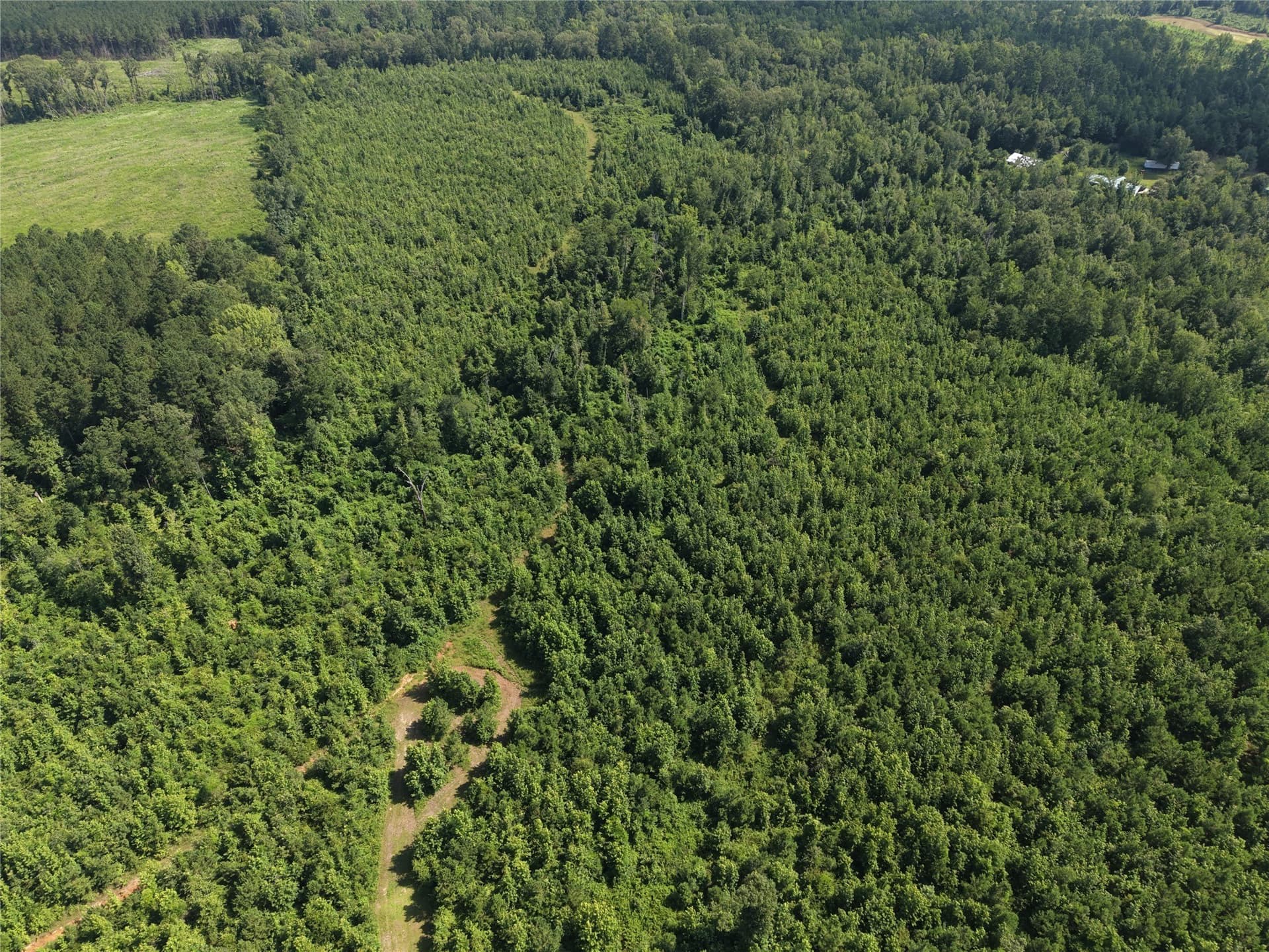 50 acres in Cass County - photo 3