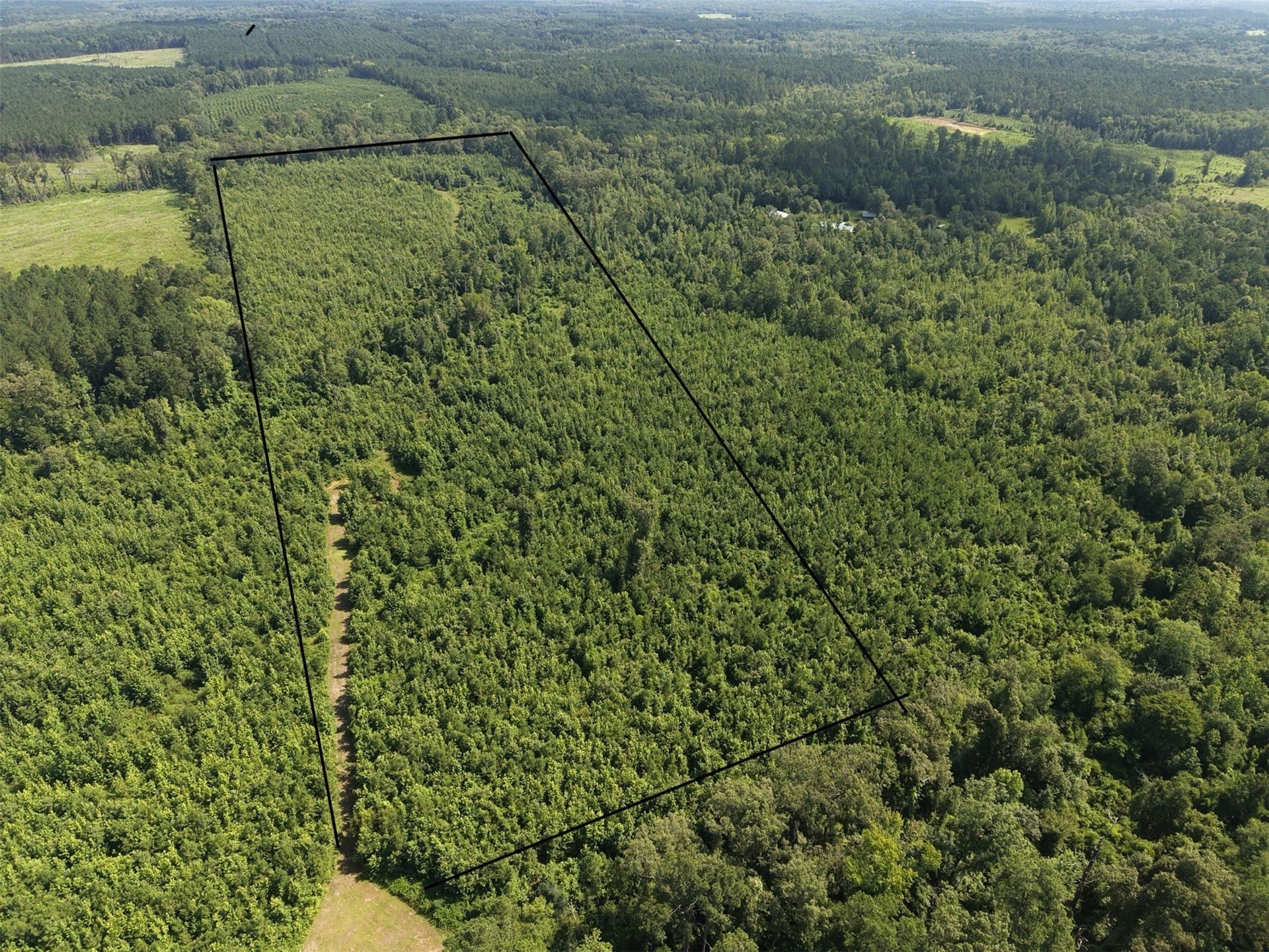 50 acres in Cass County - photo 8