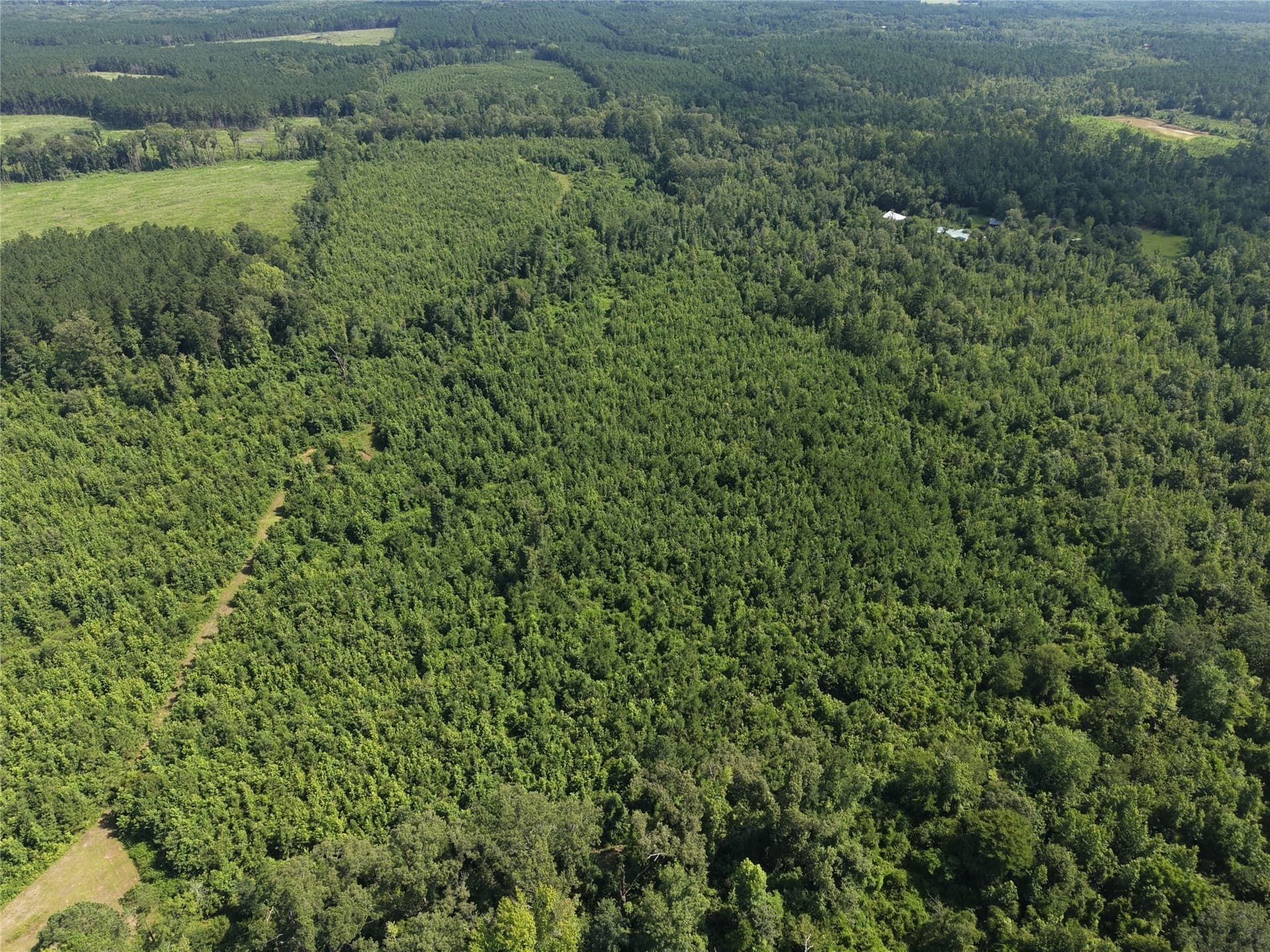 50 acres in Cass County - photo 4