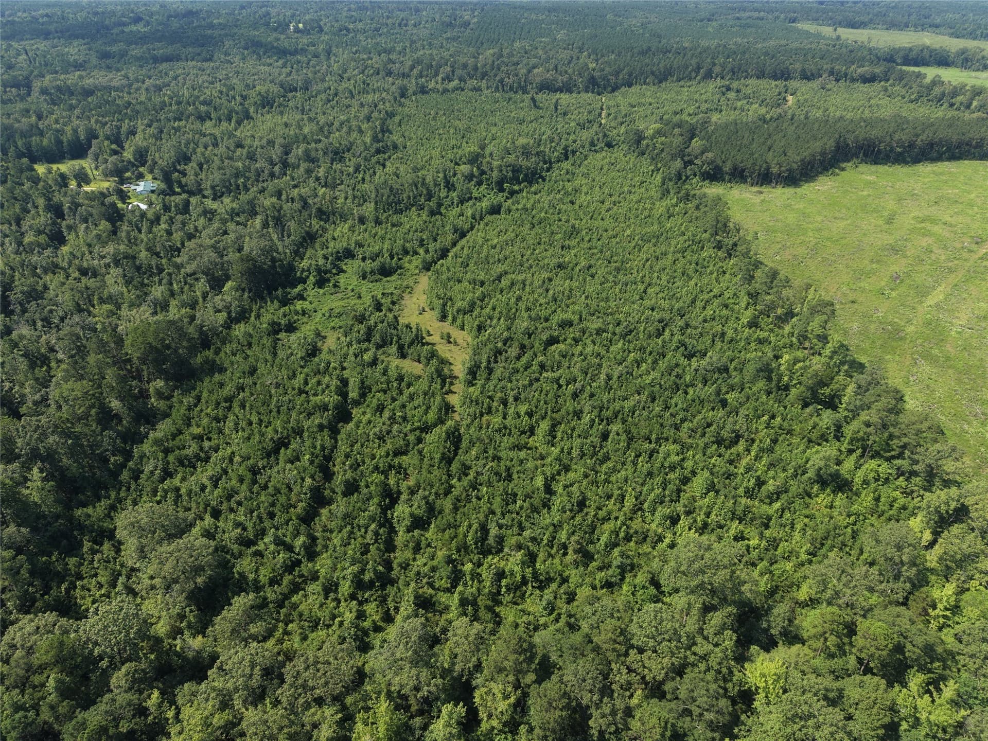 50 acres in Cass County - photo 7