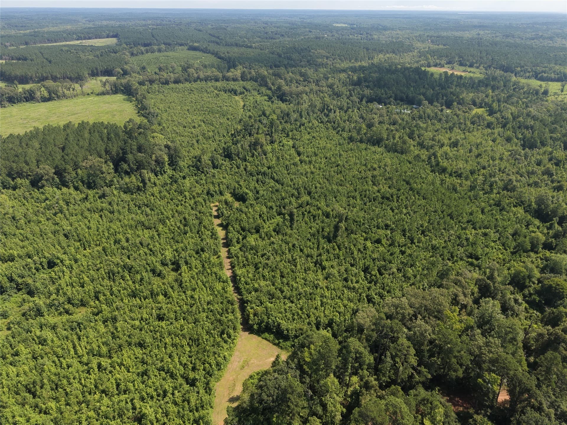 50 acres in Cass County - photo 6