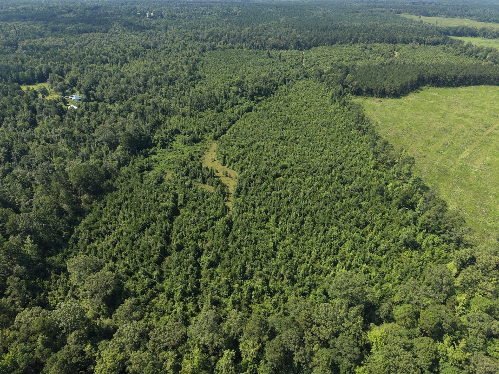 50 acres in Cass County - photo 5