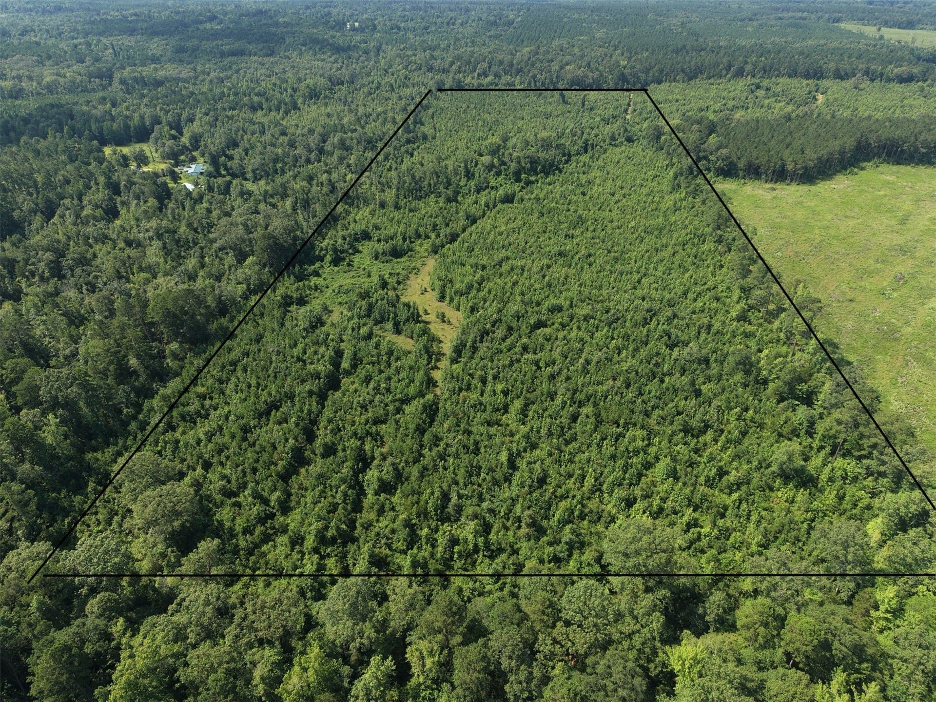 50 acres in Cass County - photo 2