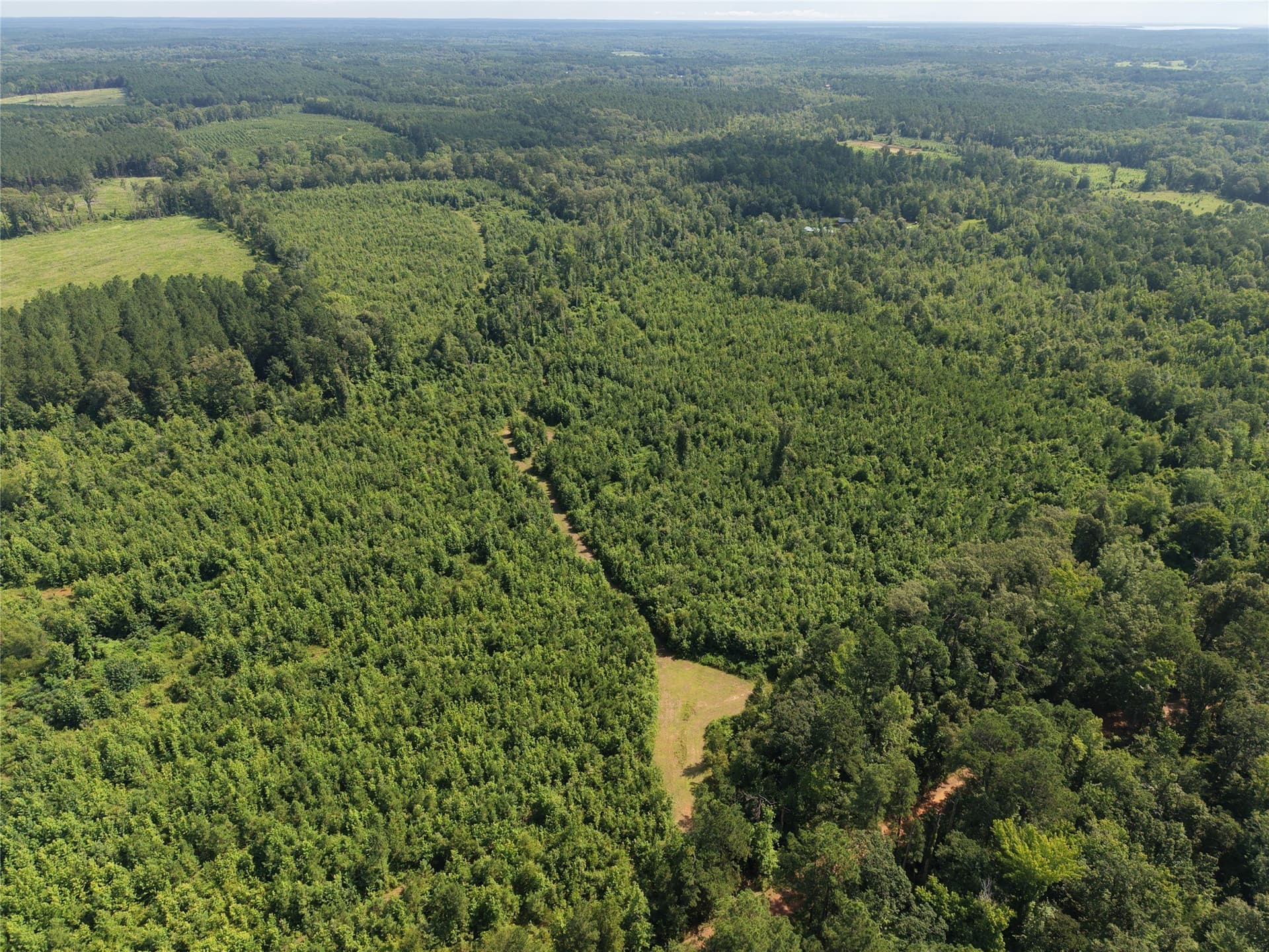50 acres in Cass County - photo 9
