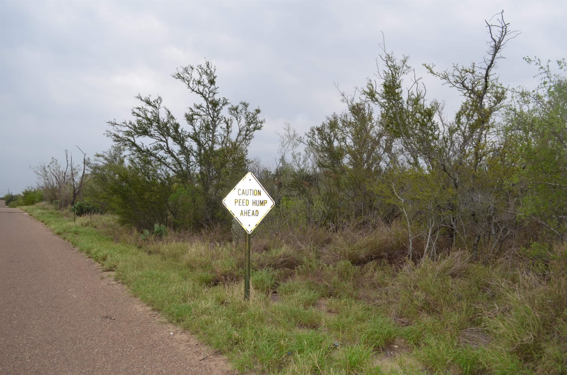 0.11 acres in Zapata County featured view