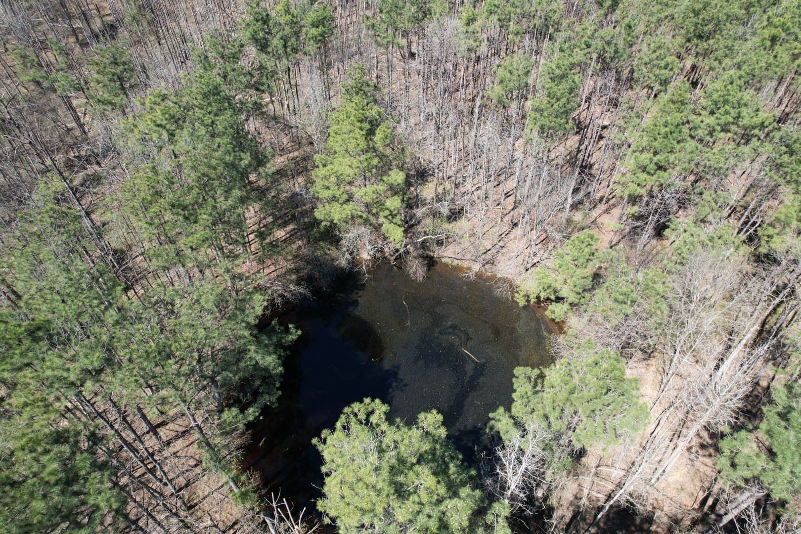 244.81 acres in Harrison County