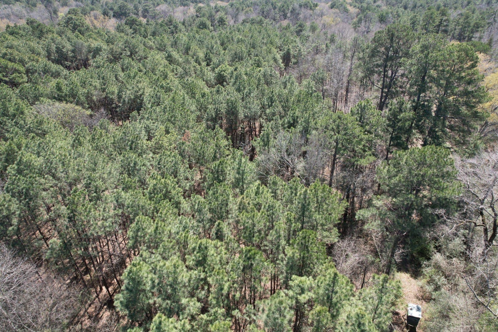 244.81 acres in Harrison County - photo 6