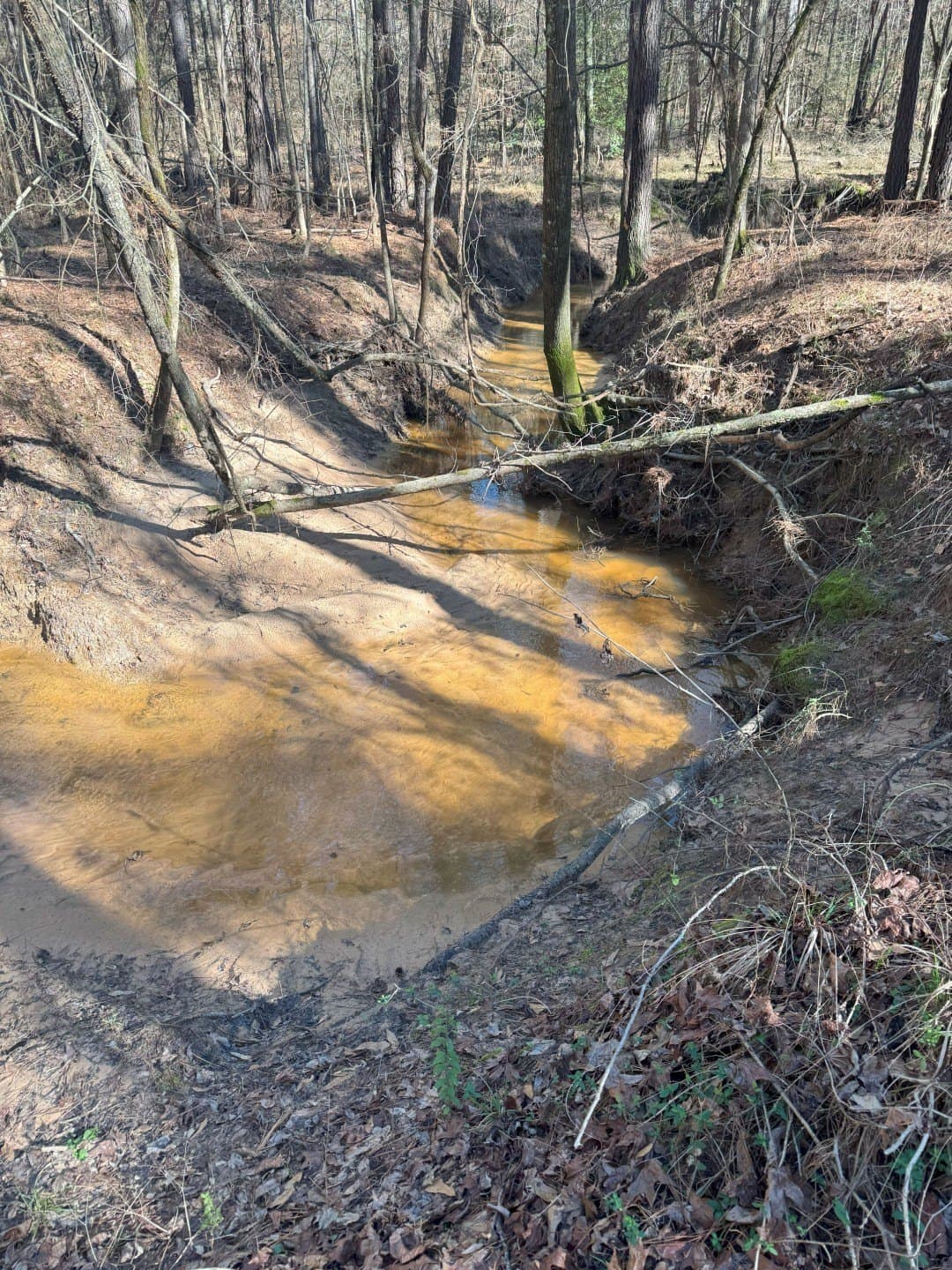 244.81 acres in Harrison County gallery image 2