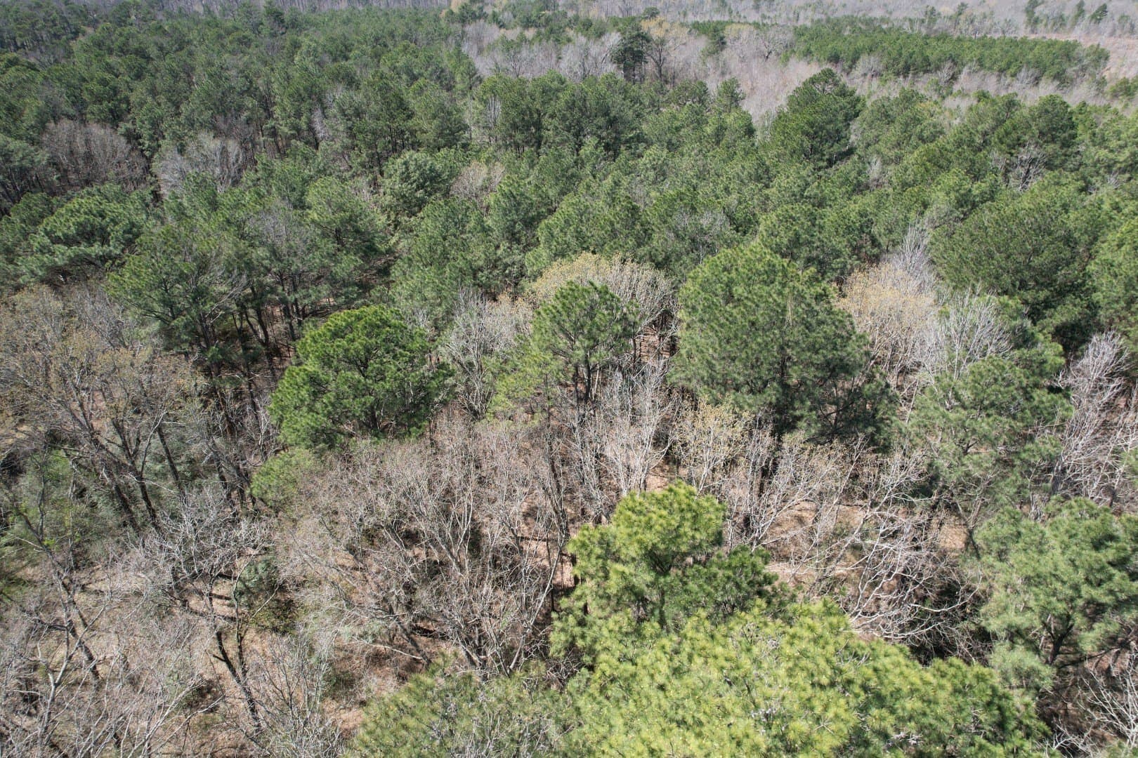 244.81 acres in Harrison County - photo 7