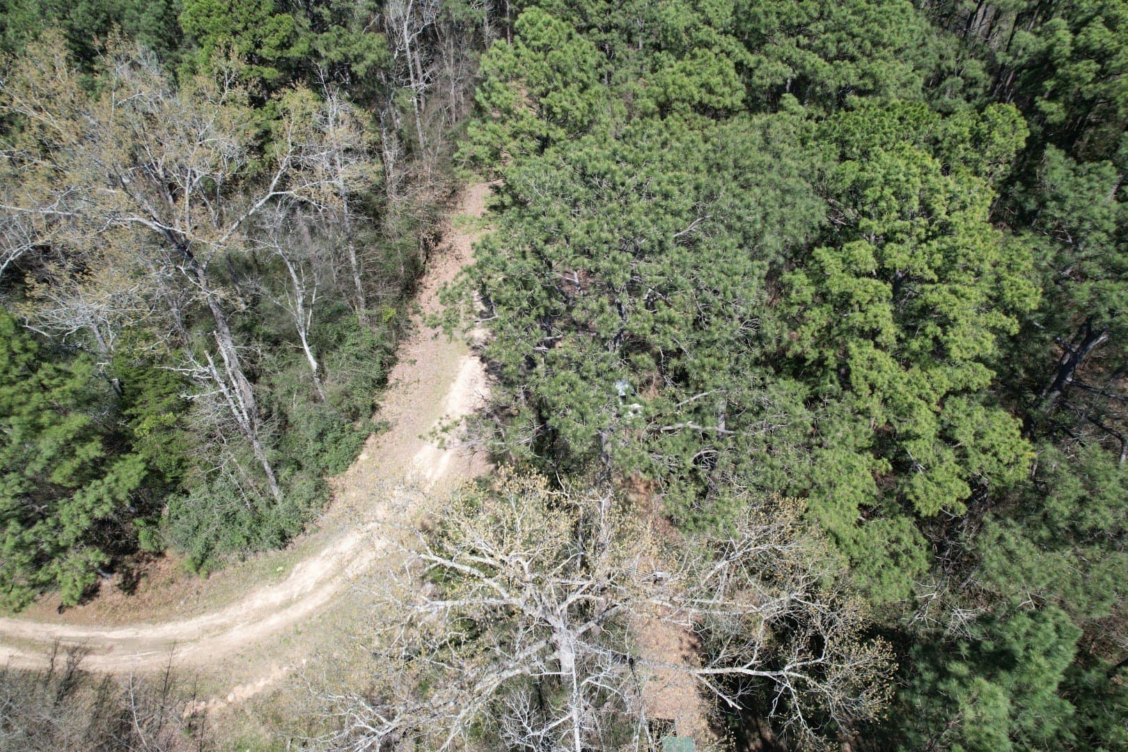 244.81 acres in Harrison County gallery image 3
