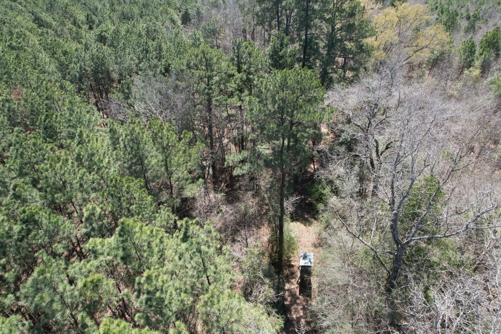 244.81 acres in Harrison County gallery image 4