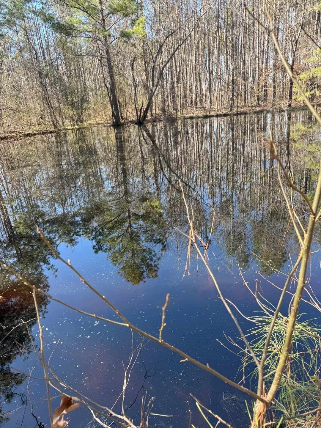 244.81 acres in Harrison County - photo 9