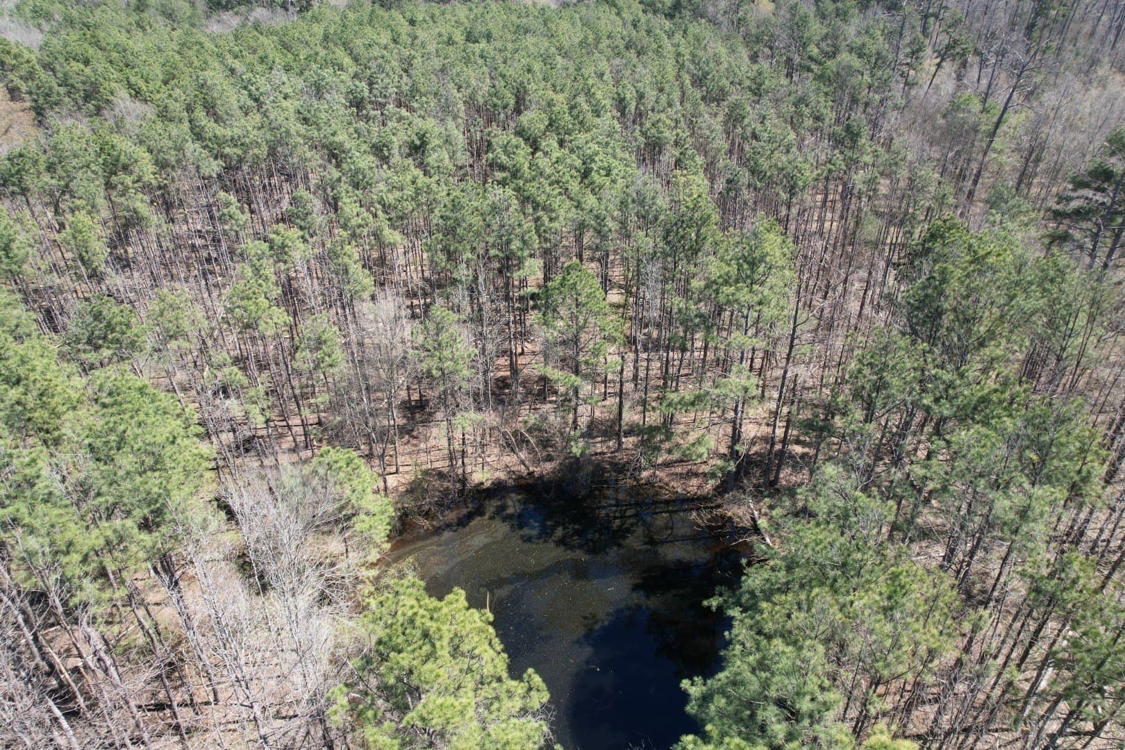 244.81 acres in Harrison County featured view