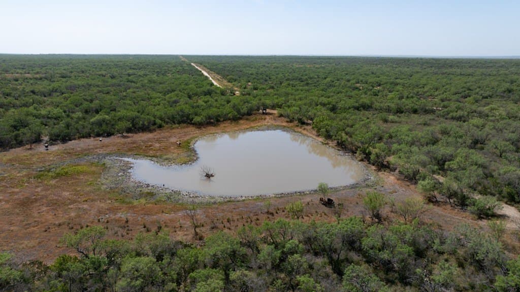 700 acres in McMullen County - photo 17