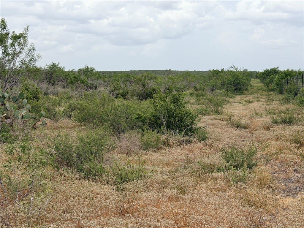 700 acres in McMullen County - photo 34