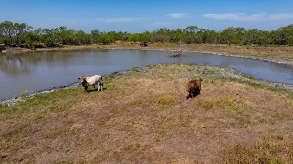 700 acres in McMullen County - photo 16