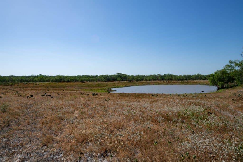 700 acres in McMullen County - photo 3