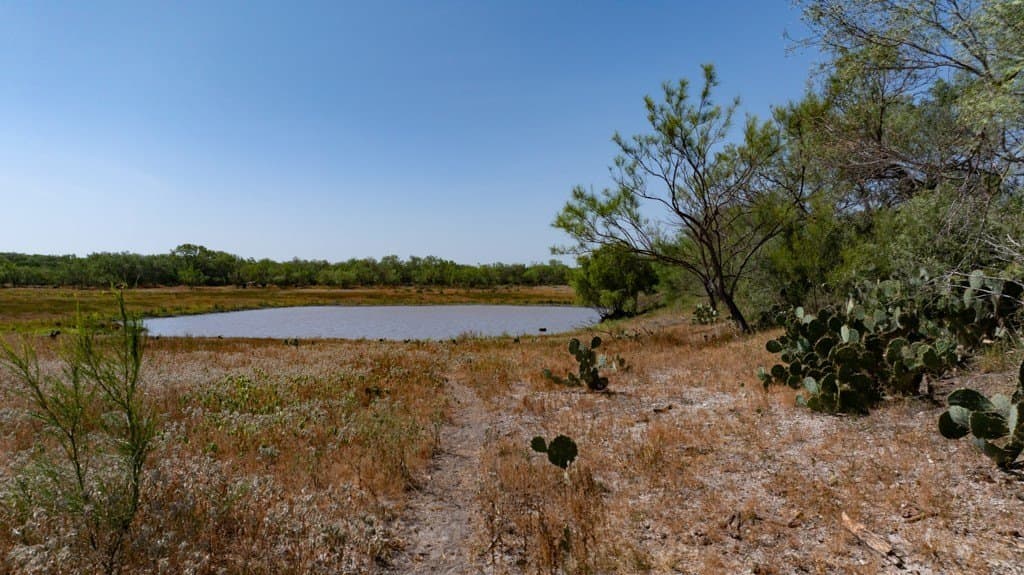 700 acres in McMullen County - photo 14